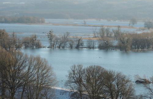 Kranichruf - Photo 19