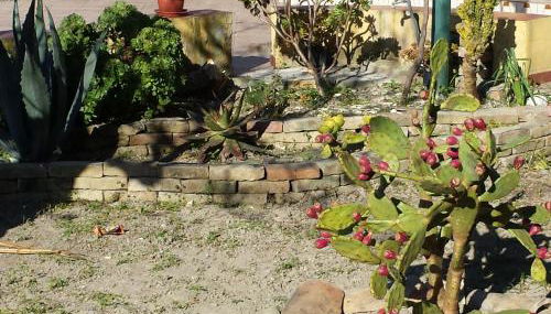 Casa Vacanza Casarcobaleno - Foto 4, Garden, Garden view