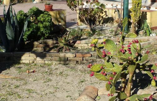 Casa Vacanza Casarcobaleno - Foto 4