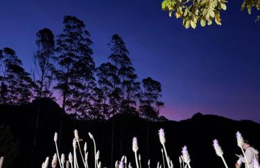 Recanto da C’Alma - Foto 42