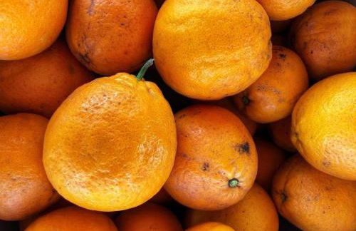 A Casa do Soito - Foto 50