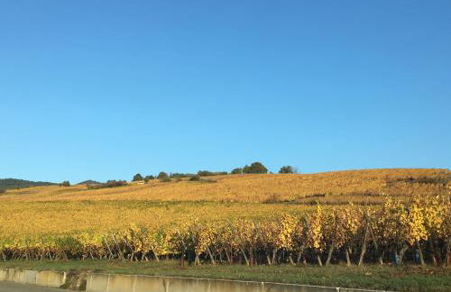 Apartment Cali Elina - Foto 15