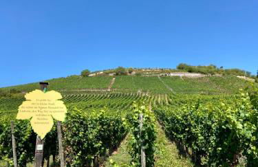 Ferienwohnung Zur Alten Schmiede - Foto 27