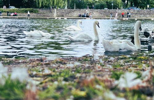 Elegant Windsor Flat - Short Walk to Windsor Castle, River Thames & Train Station - Foto 39