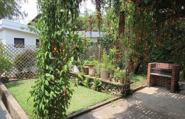 Apartamento La Casa de Las Aves - Photo 30