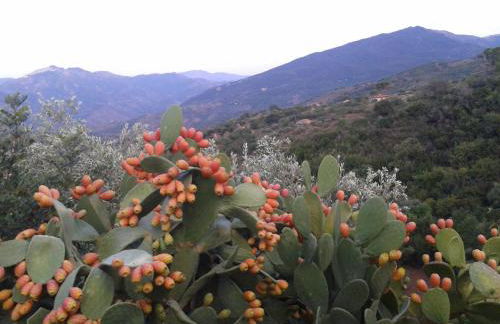 Villaggio dei Balocchi - Foto 67