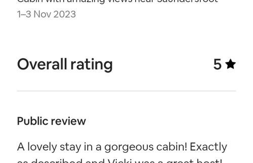 The Den - Modern cabin with wood burning stove - Foto 21