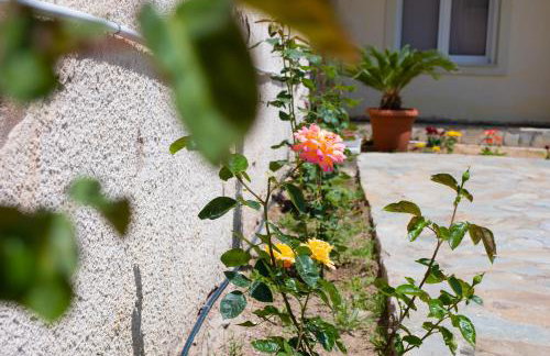 Sunset Resort - Foto 22