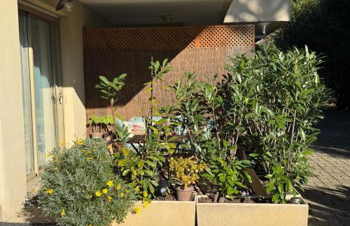 Studio tout confort au calme avec jardin proche Cannes - Foto 19