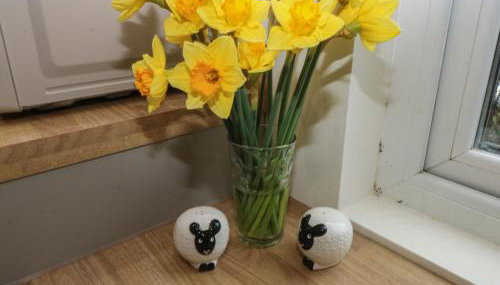 Heidiaway Lodge - Foto 5