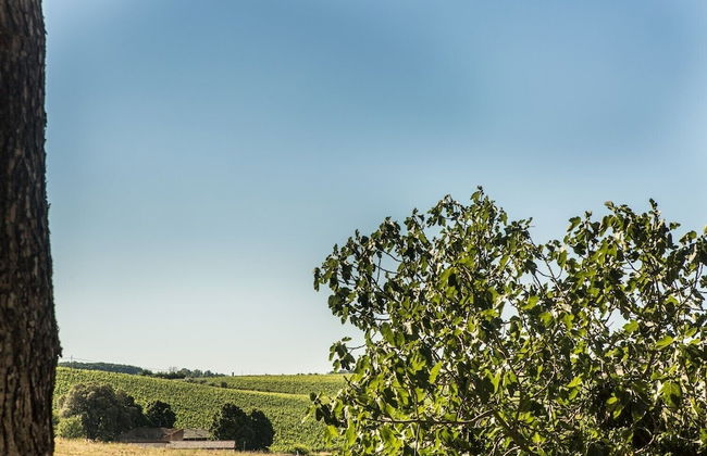 Villa Greta - Photo 35