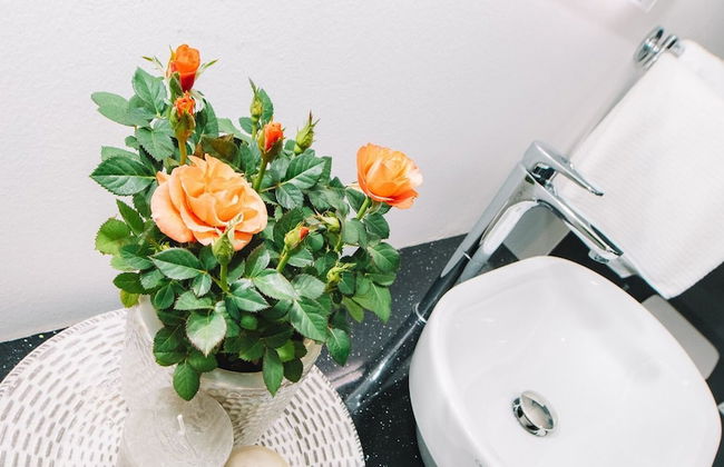 Wellness Paradise Apartment - Foto 5