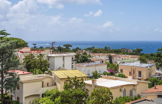 La nave del té - Foto 19