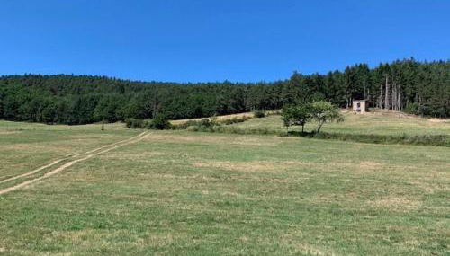 Maison de vigne rénovée à Langeac, nature et randonnées - FR-1-582-86 - Foto 3