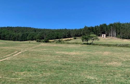 Maison de vigne rénovée à Langeac, nature et randonnées - FR-1-582-86 - Foto 3