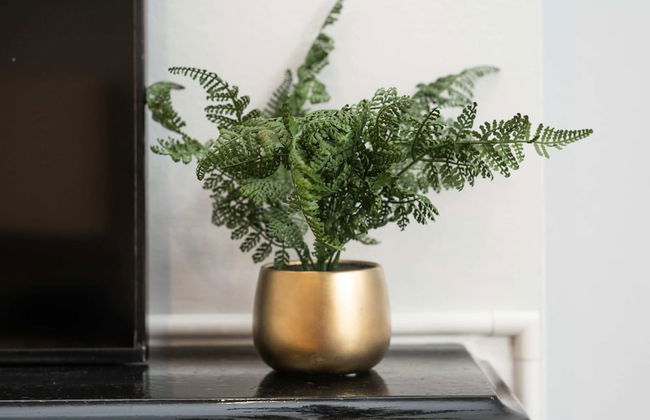 Clapham Art Apartment - Foto 20