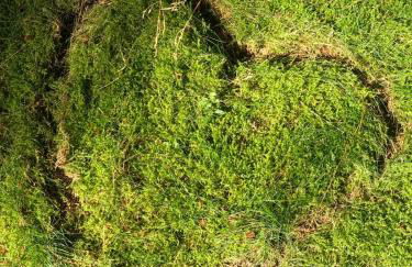 Appartement Max - Foto 18