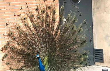 Encantador apartamento céntrico en Barrio Salamanca, junto a WiZink Center Movistar Arena y Plaza de Toros Las Ventas - Foto 44