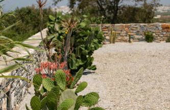 Olives Rocks Naxian Villas, by NaxosVibe - Foto 18