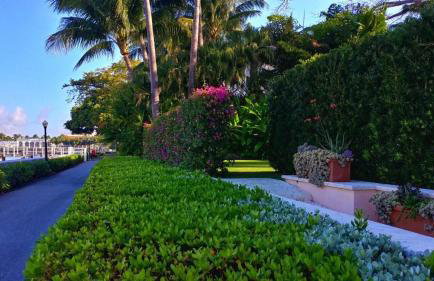Hemingway Suites at Palm Beach Hotel Island - Photo 39