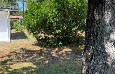 La Maison de la forêt - Foto 26