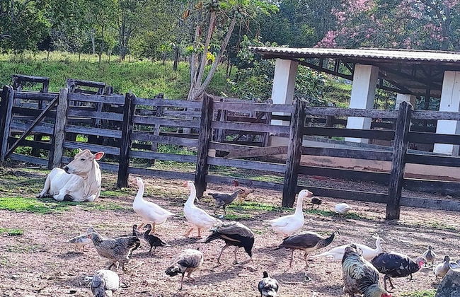 Hotel Fazenda Aguas VIvas - Foto 40