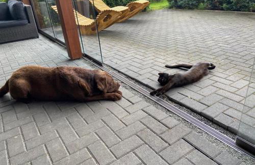 Ferien-Landleben - Photo 9