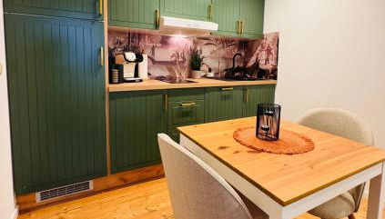 Ferienwohnung Vierseithof - Foto 5, stove, minibar