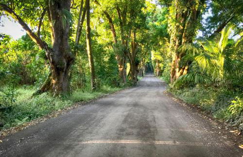 Hale “Hā Hā” - Photo 29