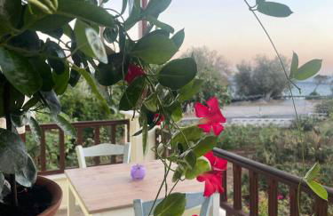 Tiki Rooms - Foto 70