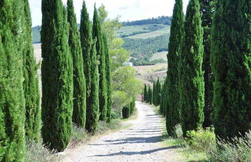 Campocane Oaks - Foto 36