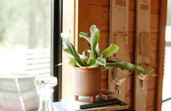 The BOAT HAUS A Montana Tiny Cabin Forest Retreat - Foto 12