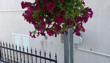 Cozy and nice apartment - Foto 5