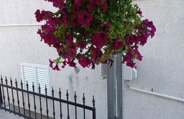 Cozy and nice apartment - Foto 5