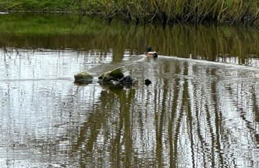 8 berth Waterside Ingoldmells Santanavan 8 C22 - Foto 54