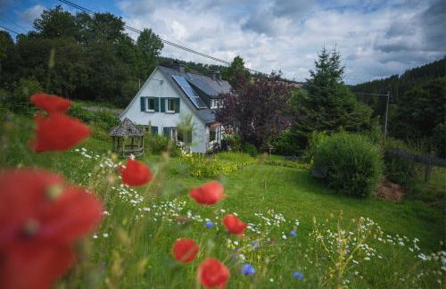 Bei Fuchses am Wisentpfad - Foto 1