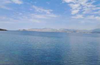 Dinas Inn - Photo 39