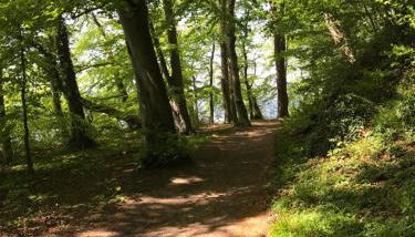 Raben Steinfeld Forststrasse Am Residence-Park - Foto 3