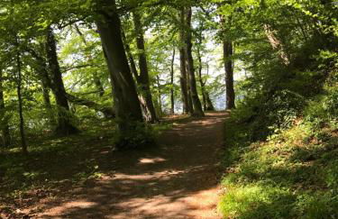 Raben Steinfeld Forststrasse Am Residence-Park - Foto 3