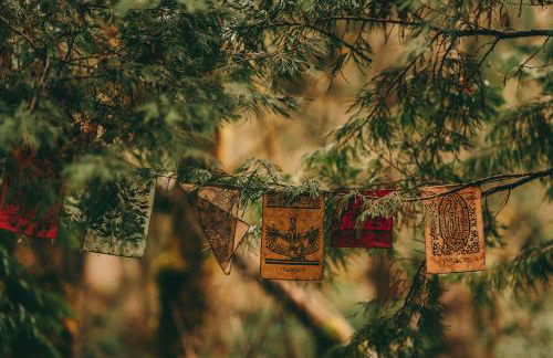 Blissful Solitude Cottage - Foto 32