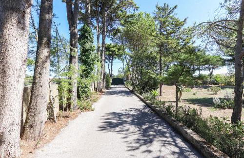 Vita Portucale ! Sintra Retreat Villa with Pool - Foto 59