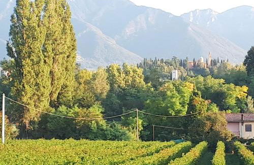 Kia ora Suite Apartment - Foto 59