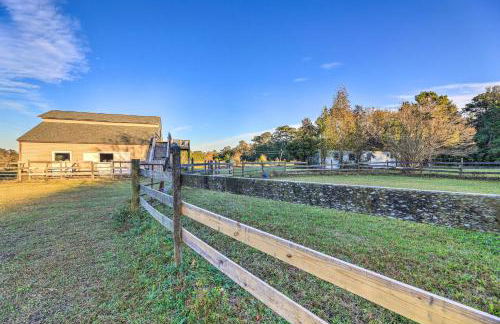 Havelock Country Cabin on Working Horse Farm! - Foto 23