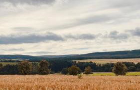 Ferienwohnung an der Wildenburg - Foto 14