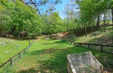 Guest house Mihovil - Foto 30