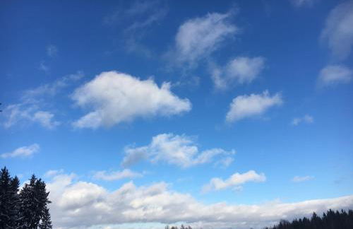 Antjes kleines Nest - Foto 25