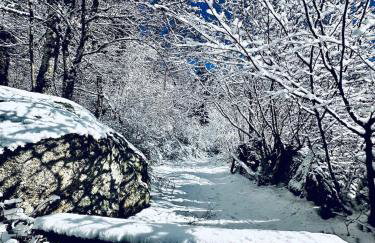 La Pastourelle en Lozère - Foto 32