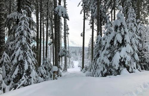 Lippenhof - Unter der Linde - Foto 33