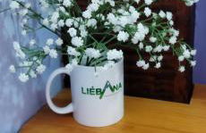 Apartamentos Caloca - Photo 30