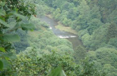 Haus Eifelinchen - Foto 38